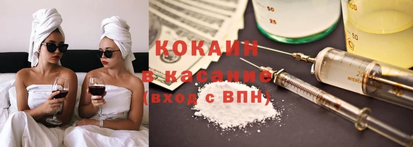 индика Армянск
