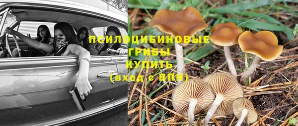 тгк Аркадак