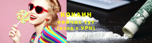 индика Армянск