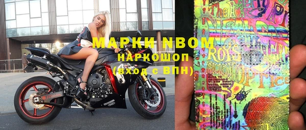 индика Армянск
