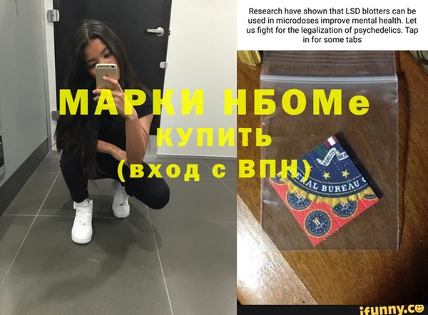 индика Армянск