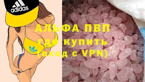 индика Армянск