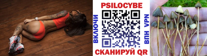 как найти закладки  Асино  Псилоцибиновые грибы GOLDEN TEACHER 